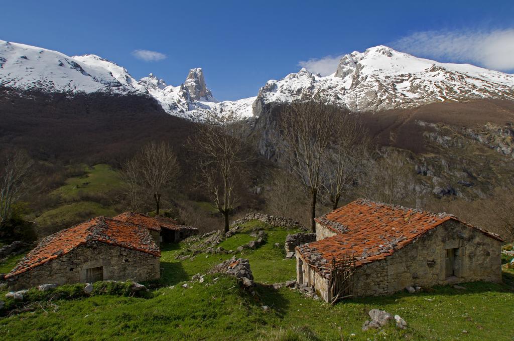 Apartamentos La Regoria Arenas De Cabrales Buitenkant foto